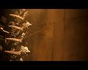 PDVD_492