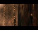 PDVD_592