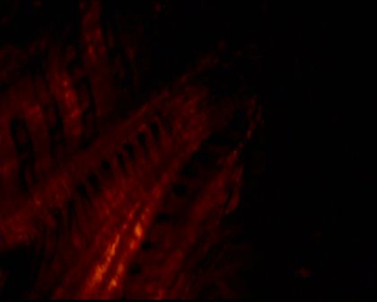 PDVD_1005.jpg