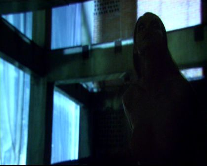 PDVD_1624.jpg