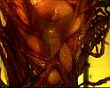 PDVD_1059