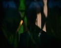 PDVD_549