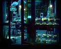 PDVD_613
