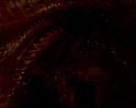PDVD_999