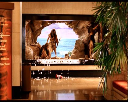 PDVD_1008.jpg