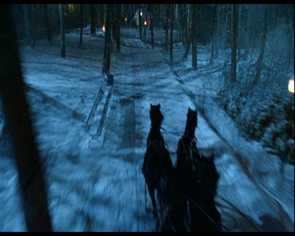 PDVD_1546.jpg