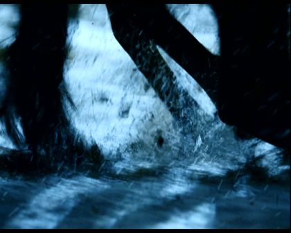 PDVD_1592.jpg