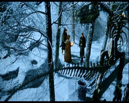 PDVD_1654.jpg