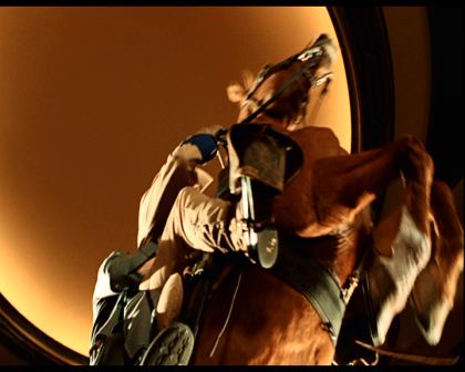 PDVD_466.jpg