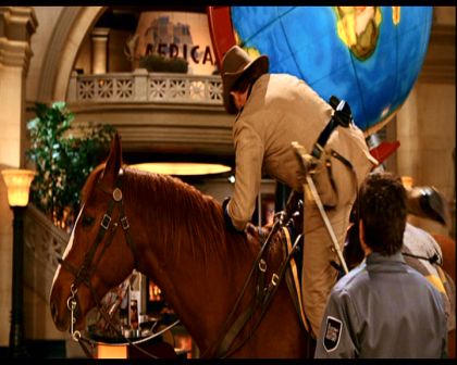 PDVD_475.jpg
