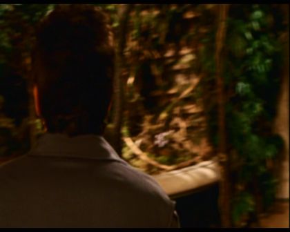 PDVD_867.jpg