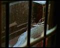 PDVD_1107