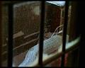 PDVD_1108