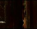 PDVD_1182
