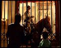 PDVD_1207