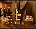 PDVD_1277