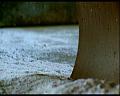 PDVD_1350