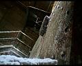 PDVD_1362