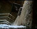 PDVD_1373