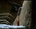 PDVD_1374