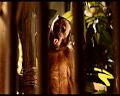 PDVD_360