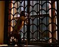 PDVD_880