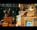 PDVD_104