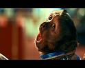 PDVD_1560