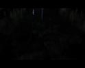 PDVD_1576