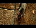 PDVD_1748