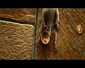 PDVD_1749