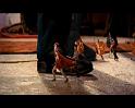 PDVD_1955