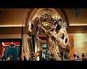 PDVD_2283