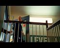 PDVD_348