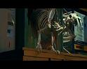 PDVD_479