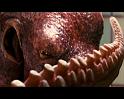 PDVD_498