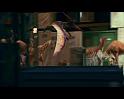 PDVD_531