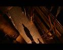 PDVD_1115