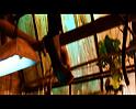 PDVD_1257