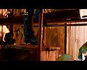 PDVD_1258