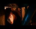 PDVD_1264