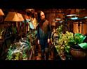 PDVD_1271