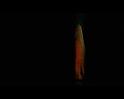 PDVD_1286