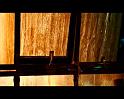 PDVD_1291