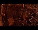 PDVD_1304