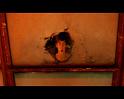 PDVD_1654