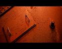 PDVD_1713