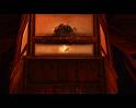 PDVD_1761