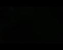 PDVD_1961