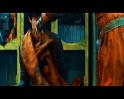 PDVD_244